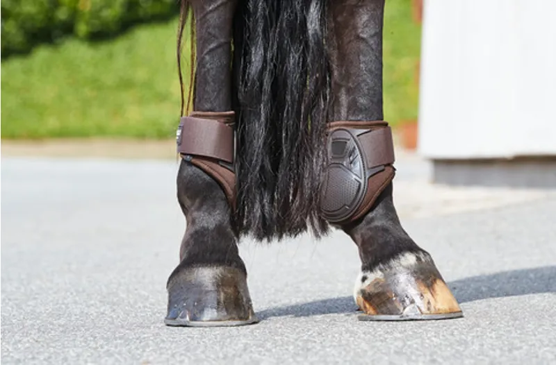 Catago Fir-Tech Young Horse Fetlock Boots in Brown-1